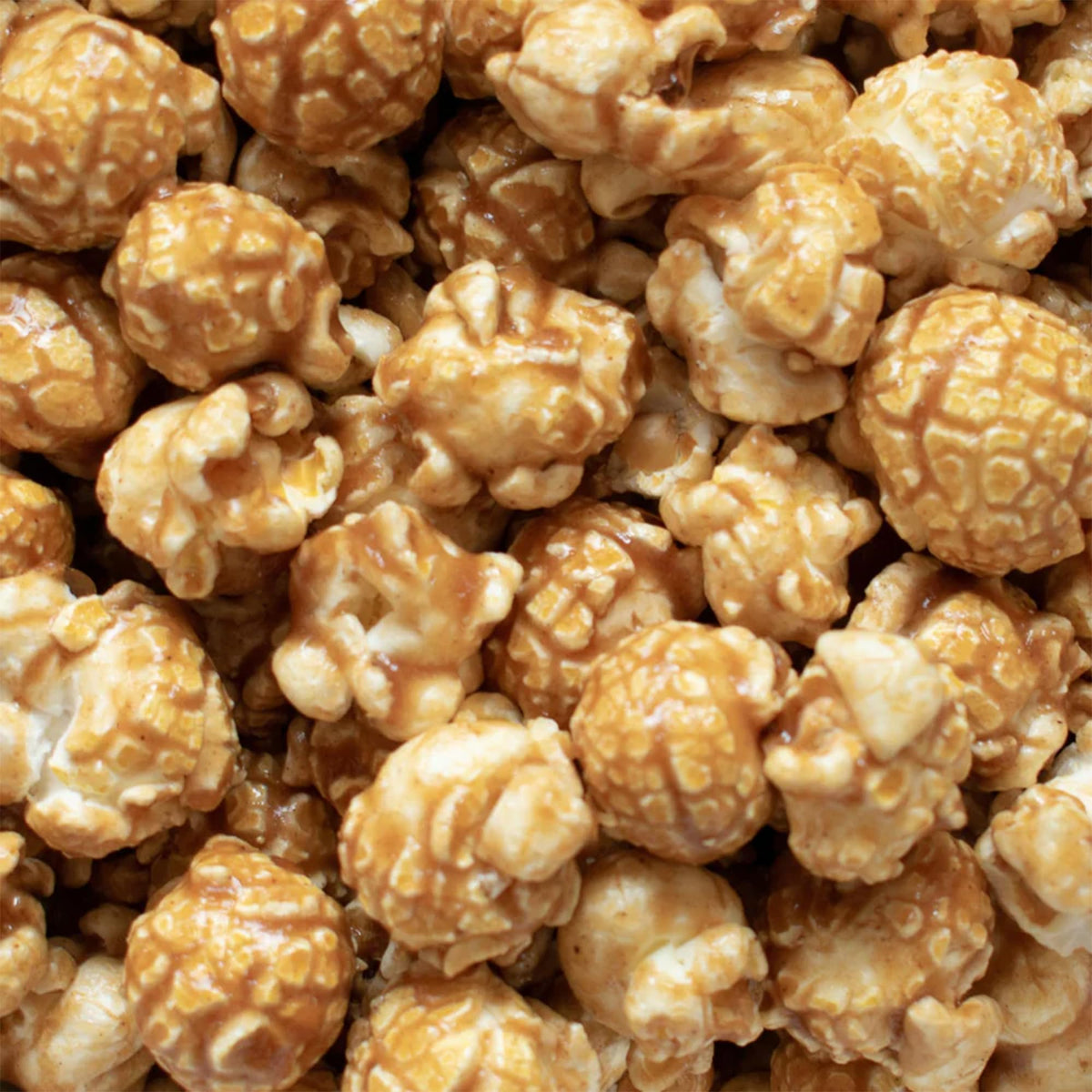 Popcorn Shed Gingerbread Gourmet Popcorn - Vegan Gingerbread Caramel | 16 x 24g Packs 3