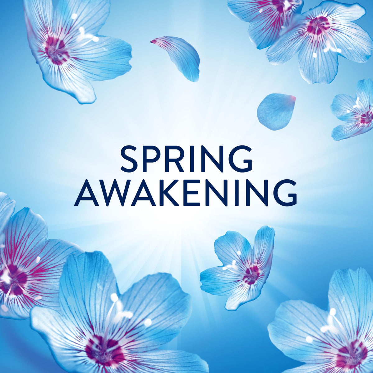 Lenor Spring Awakening In-Wash Scent Booster Beads - 12 Weeks of Freshness | 735g | Granules 7