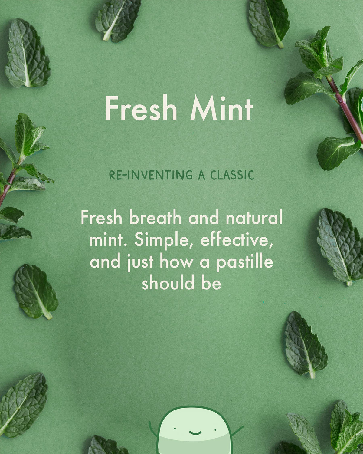 True Gum Sugar Free Mints - Xylitol Mint Flavour Pastilles | 12-Pack 3