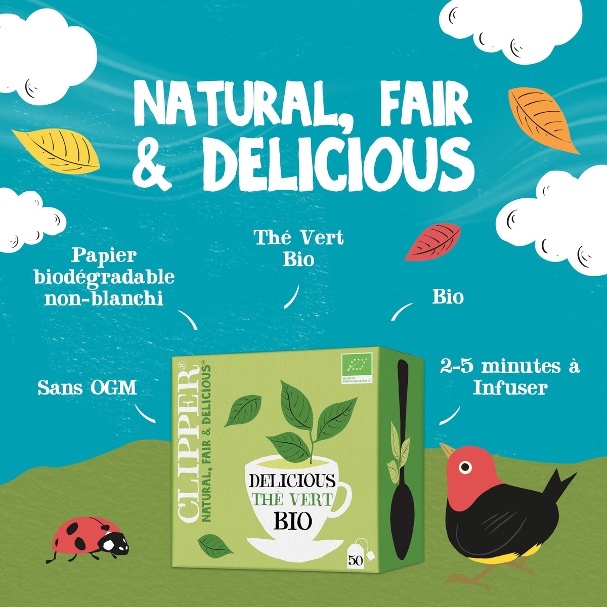 Clipper Organic Pure Green Tea - Fairtrade, 50 Teabags, Compostable