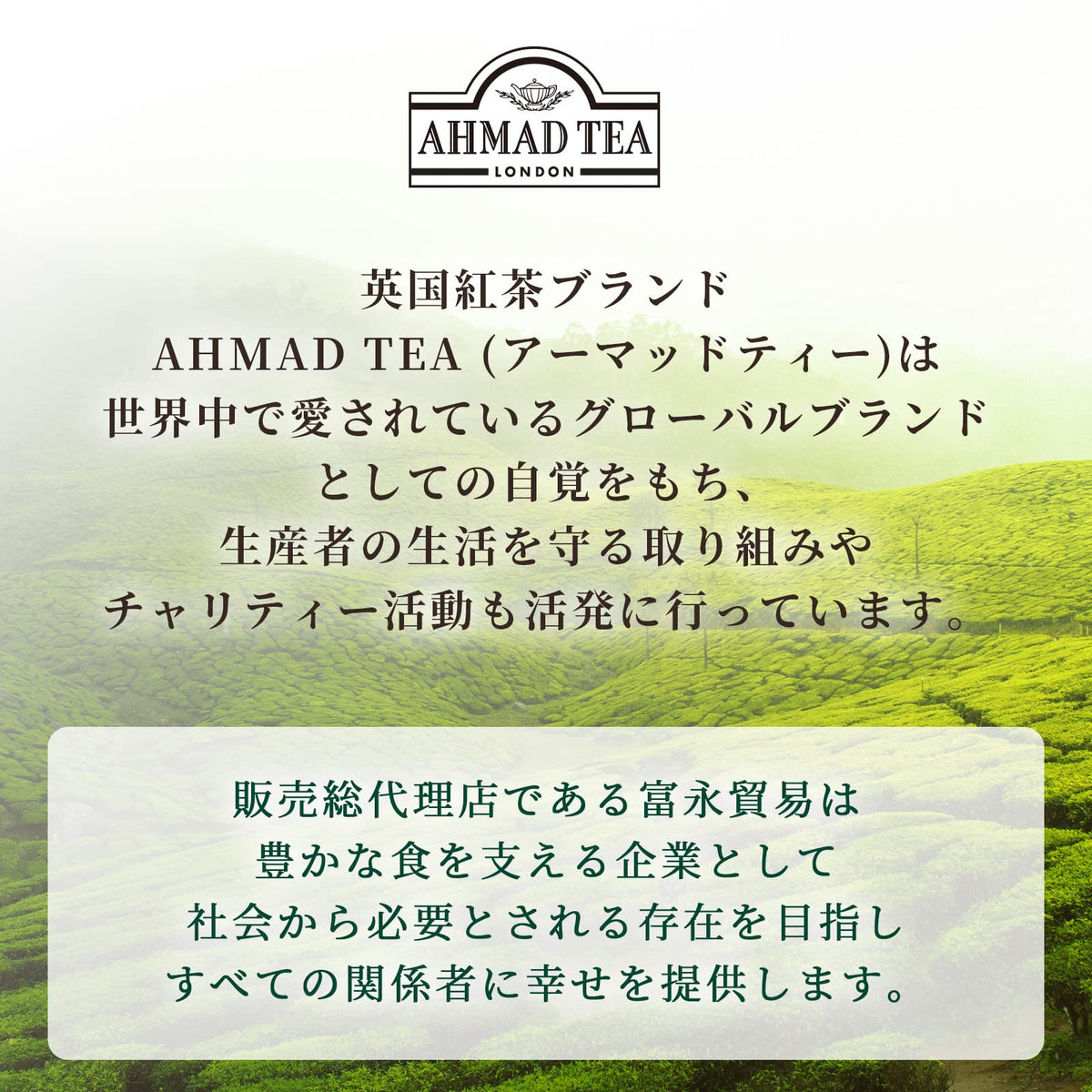Ahmad Tea Selection Caddy - 40 Teabags | Black Tea Collection | Kew Gardens Collaboration 5