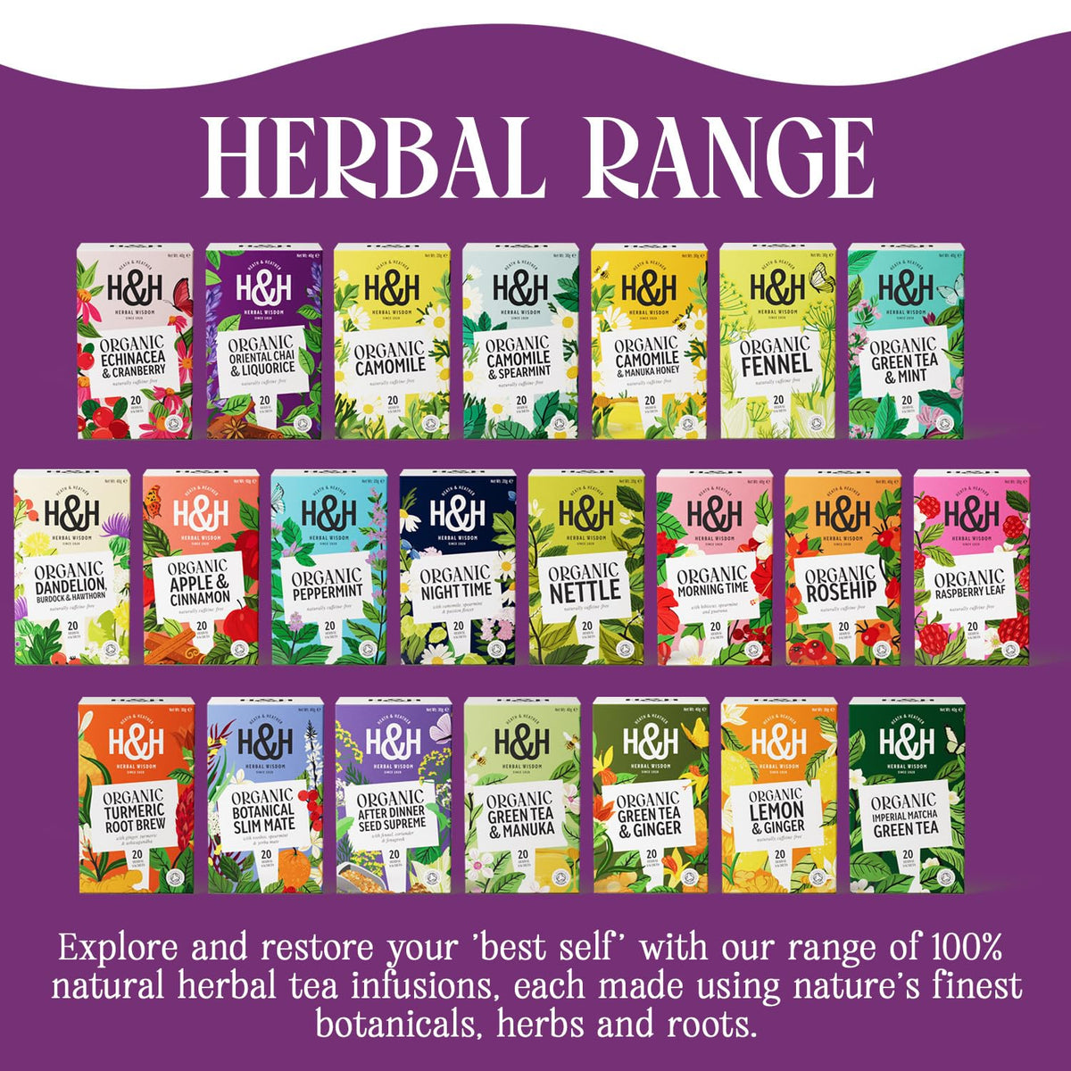 Heath & Heather Organic Oriental Chai & Liquorice Tea - 20 Biodegradable Tea Bags 6