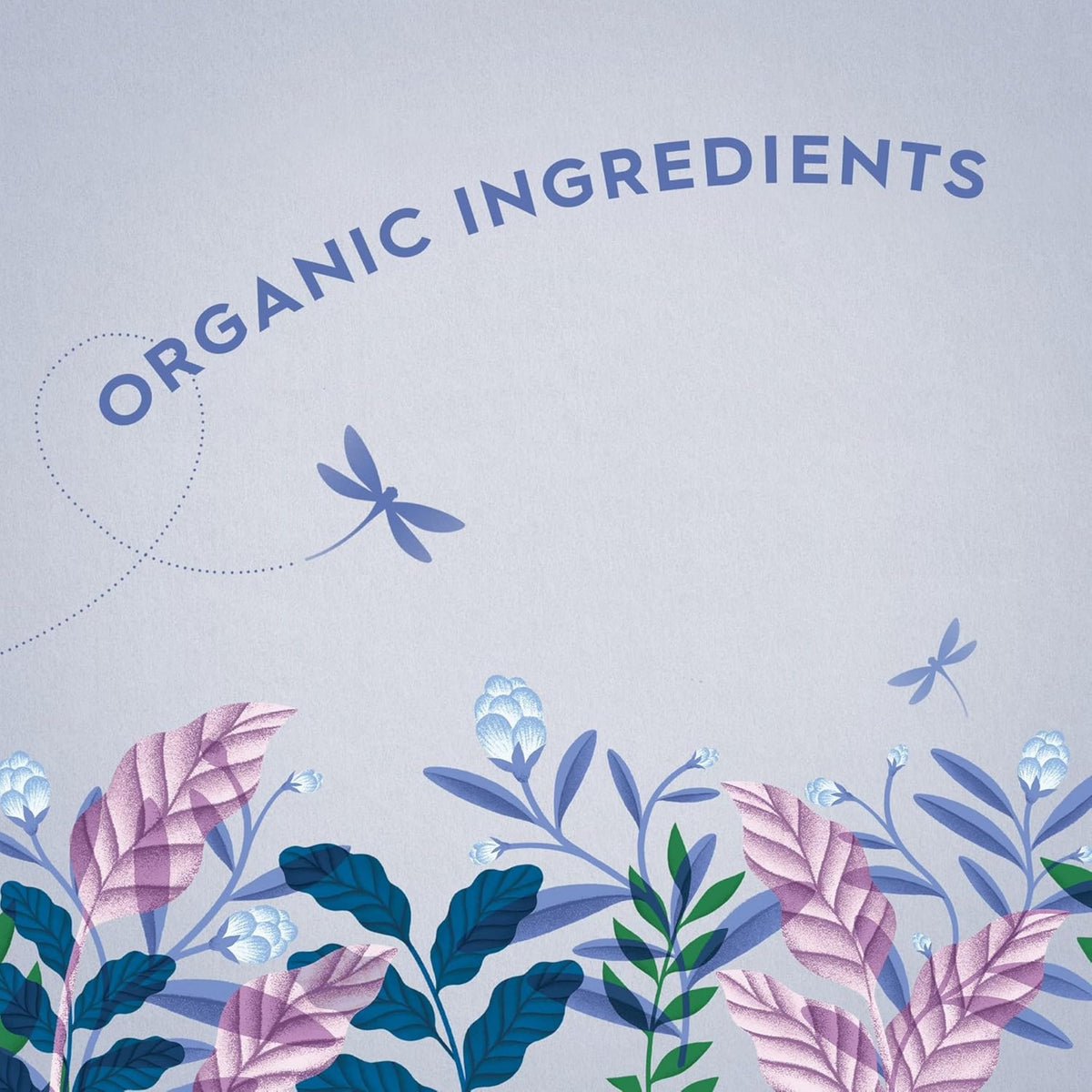 DRAGONFLY Organic Herbal Tea Selection Box - 80 Teabags | 4 Blends | Planet-Friendly Packaging
