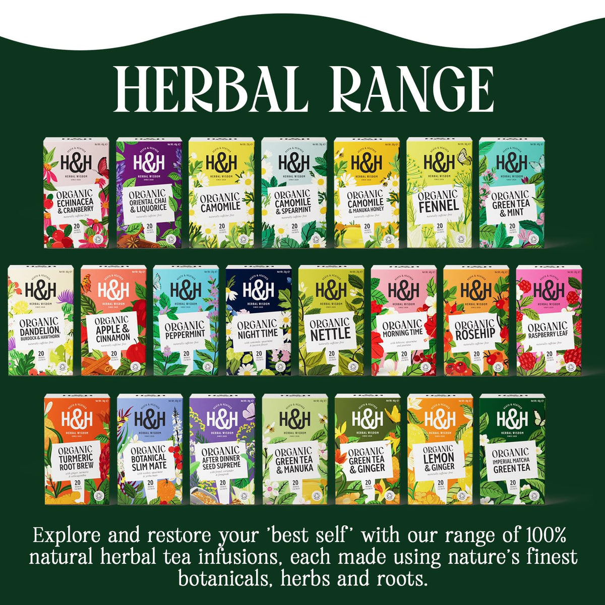 Heath & Heather Organic Imperial Matcha Green Tea - 20 Teabags | Antioxidant Support, Energy Boost 6