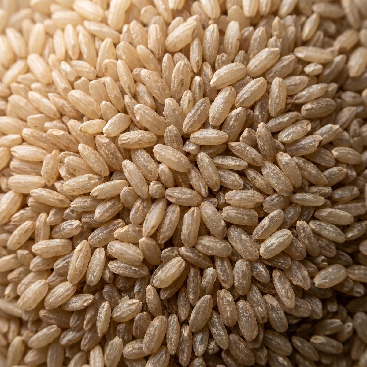 Wholefood Earth Short Grain Brown Rice - 1kg Bag | Source of Fibre | Nutty Flavour 4