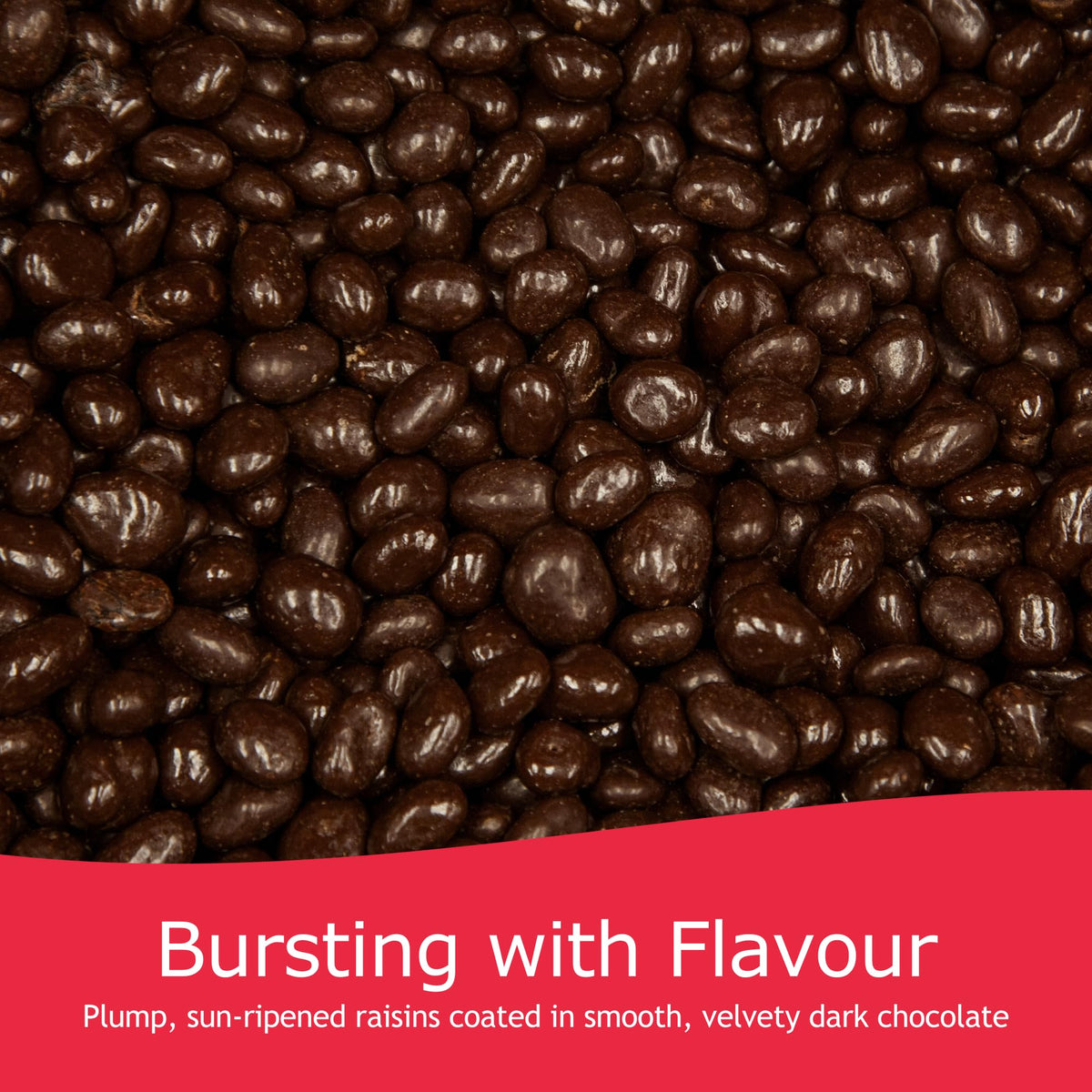 Rita Farhi Dark Chocolate Raisins - 870g Jar | Classic Combination | Vegetarian Friendly