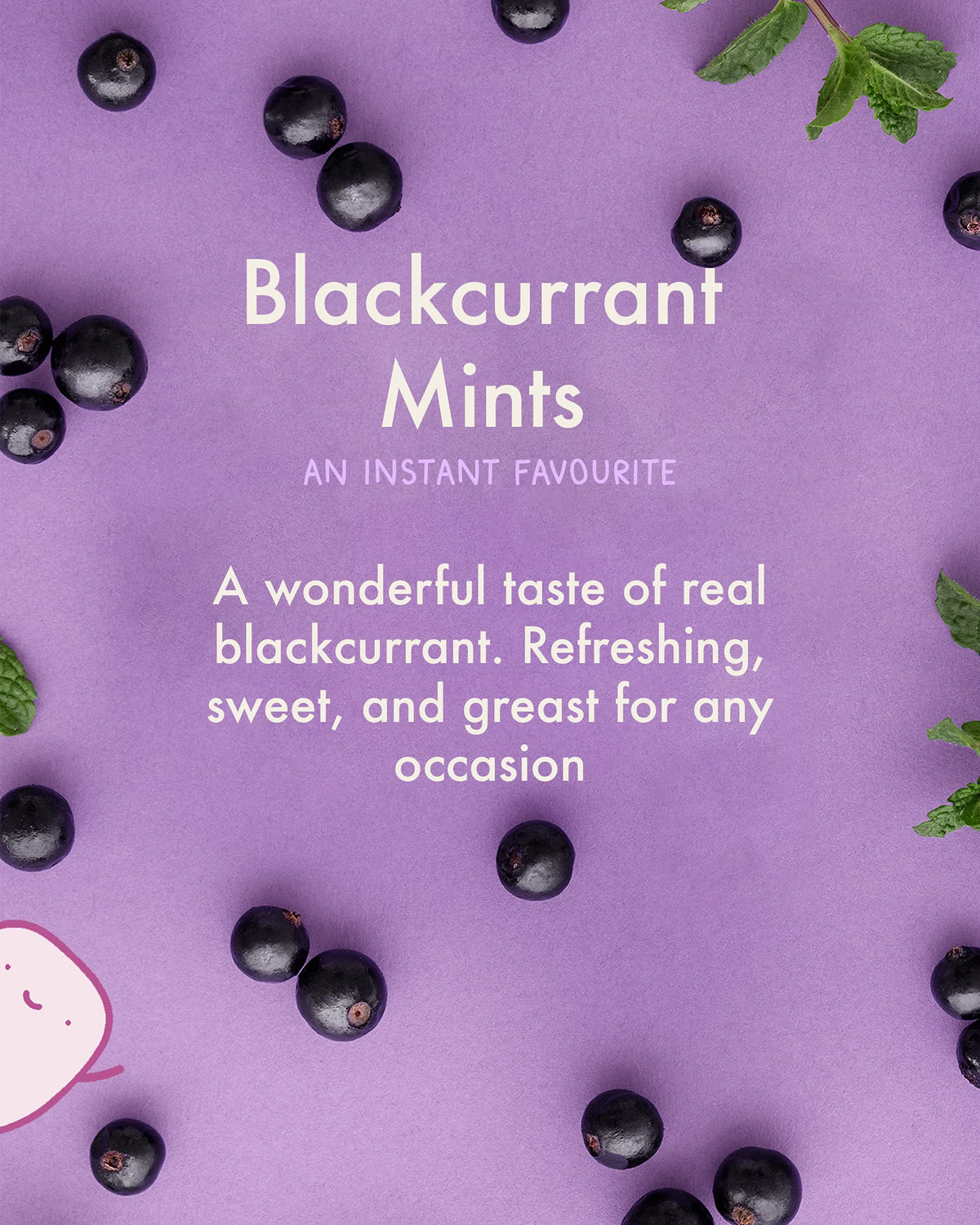 True Gum Blackcurrant Mints - Sugar Free, Xylitol Sweetened | 12-Pack 3