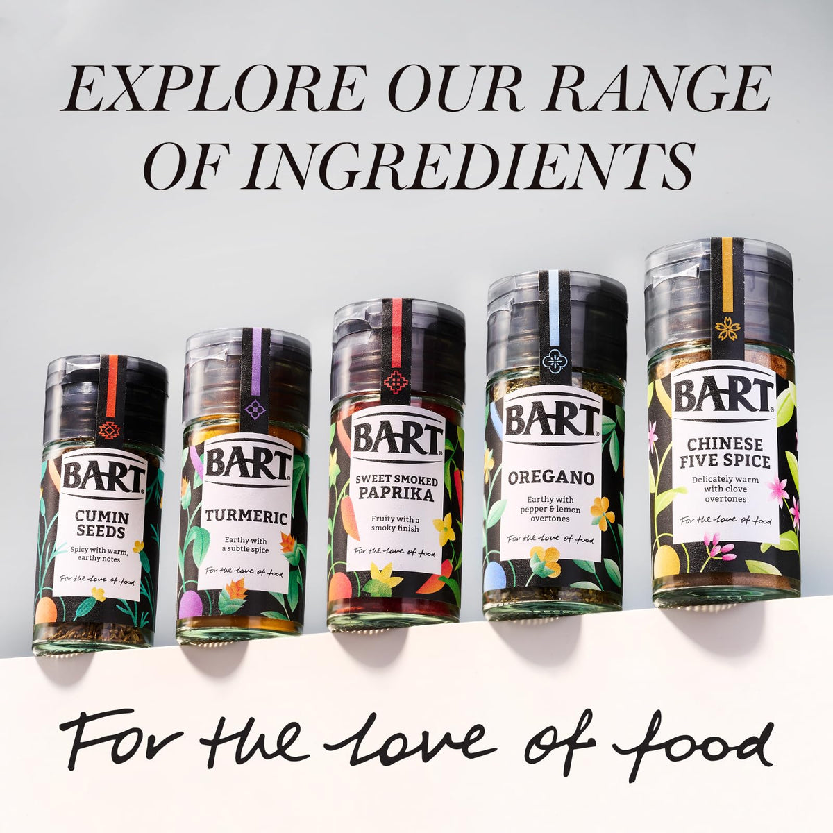 BART Steak Seasoning - Warming Onion & Garlic Blend | 6 x 46g Jars 4