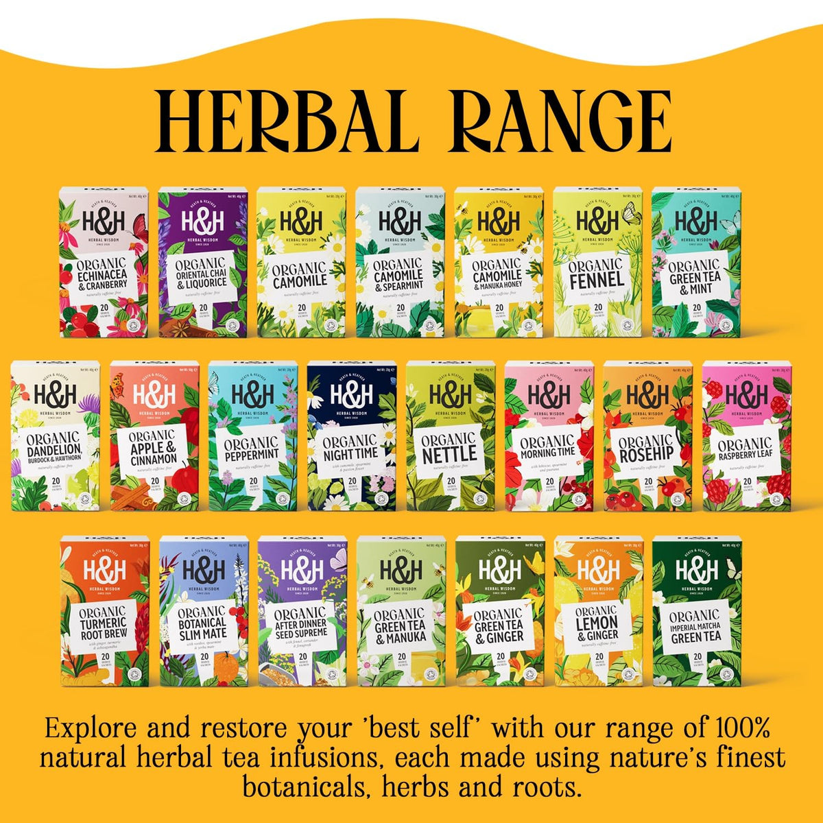 Heath & Heather Organic Camomile with Manuka Honey Herbal Tea - Promotes Relaxation | 20 Teabags | 40g 6