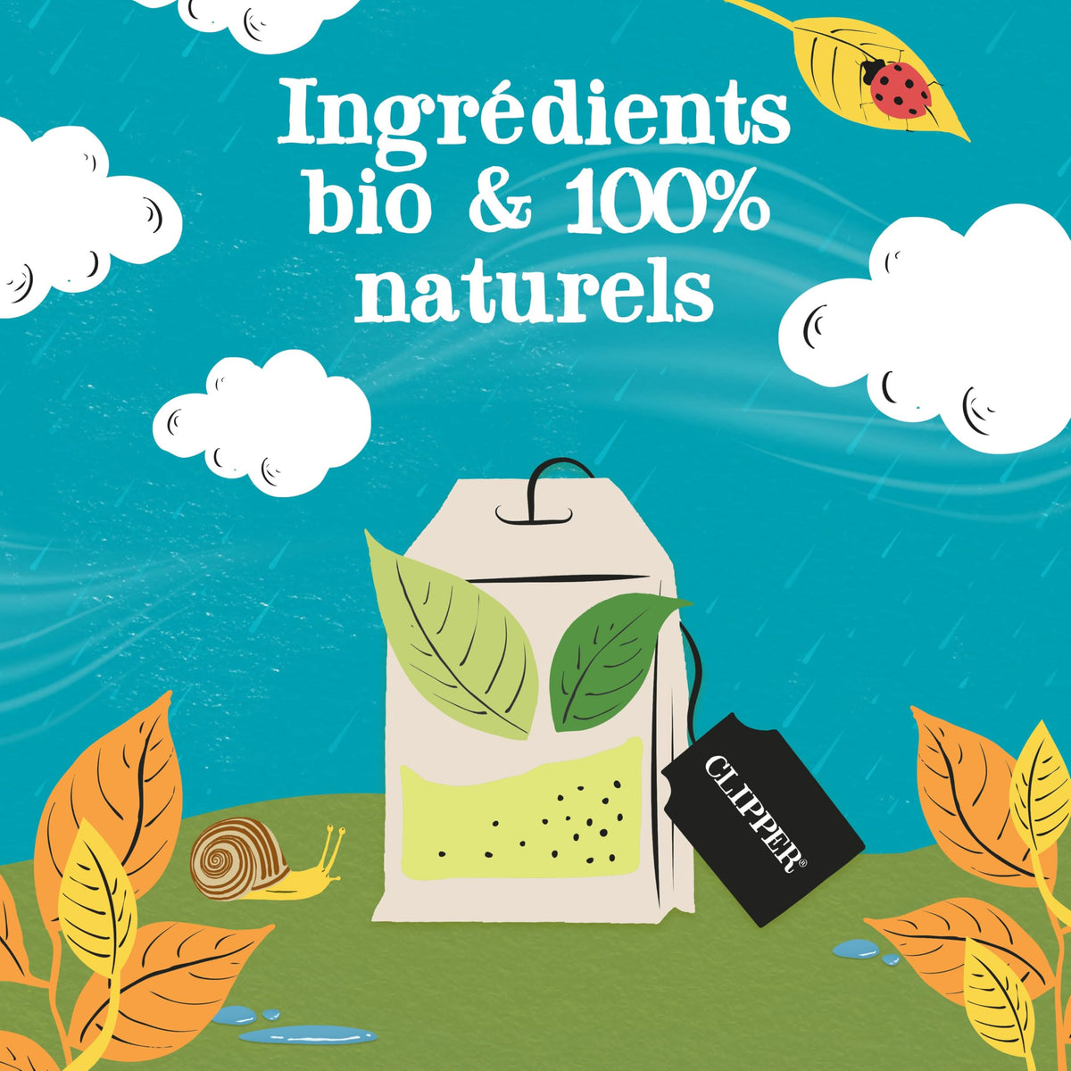 Clipper Organic Pure Green Tea - Fairtrade, 50 Teabags, Compostable 3