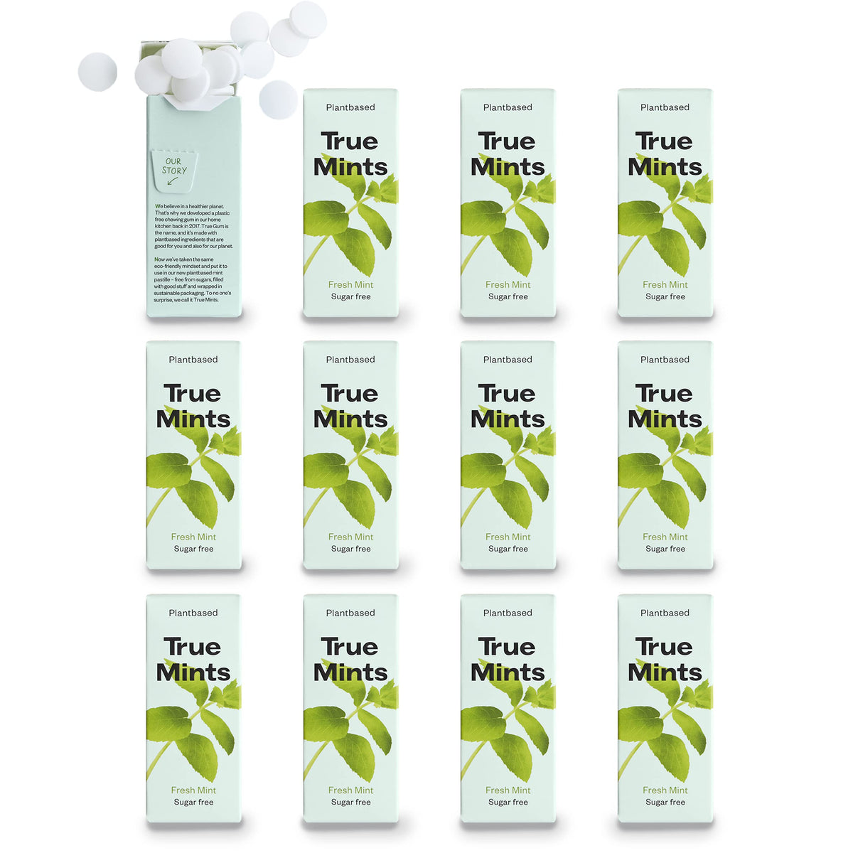 True Gum Sugar Free Mints - Xylitol Mint Flavour Pastilles | 12-Pack