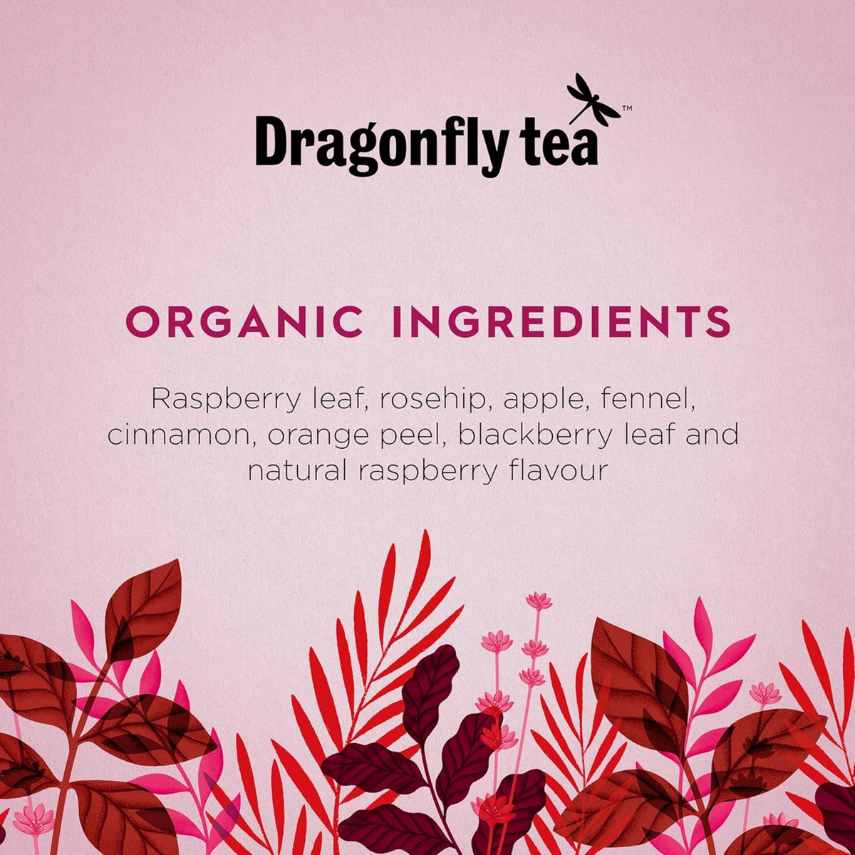 Dragonfly Sweet Rosehip & Raspberry Leaf Tea - Organic, Caffeine Free, Licorice Free | 4 x 20 Tea Bags 3