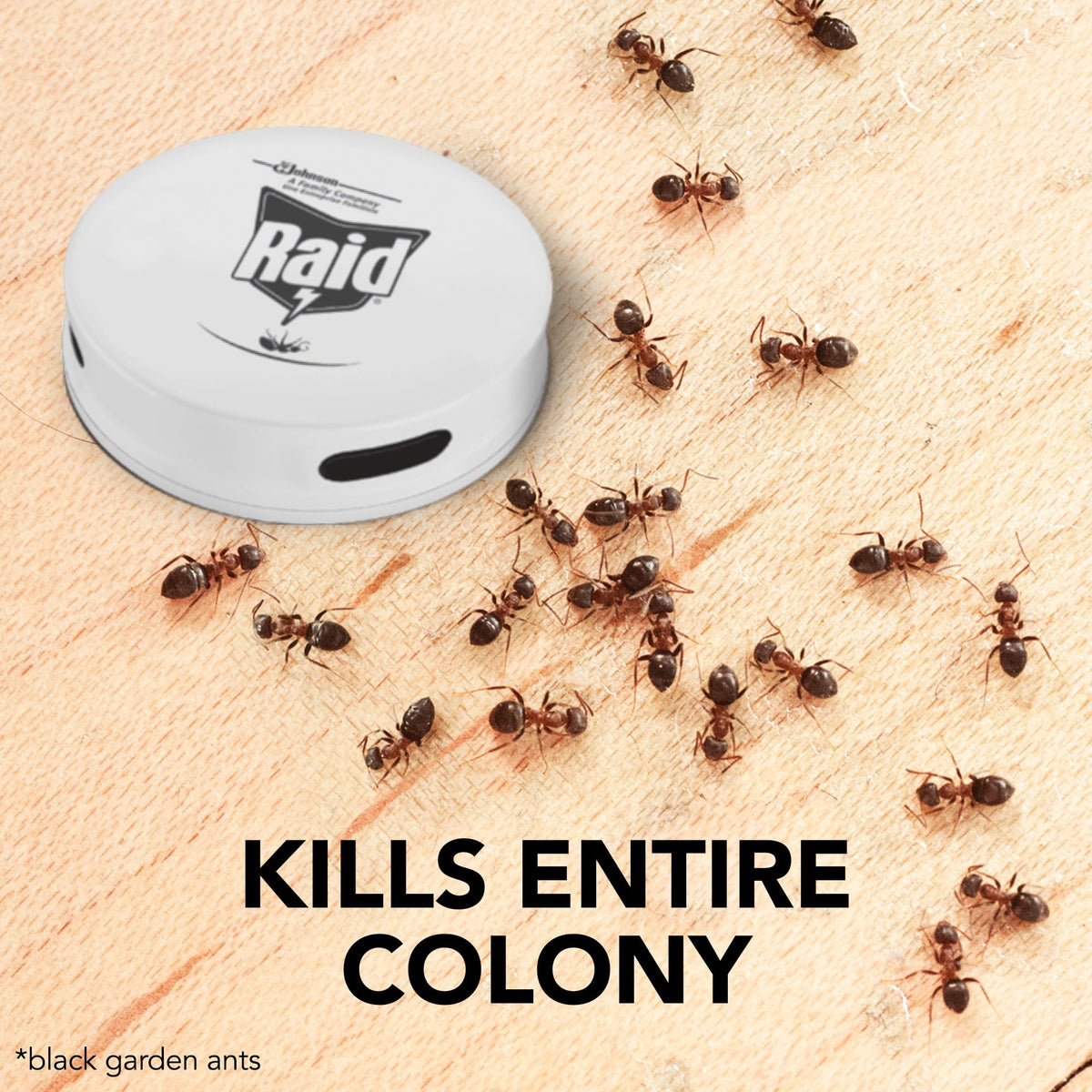 Raid Ant Bait - Kills Ants & Eliminates Colonies | Indoor/Outdoor Use | 10ml