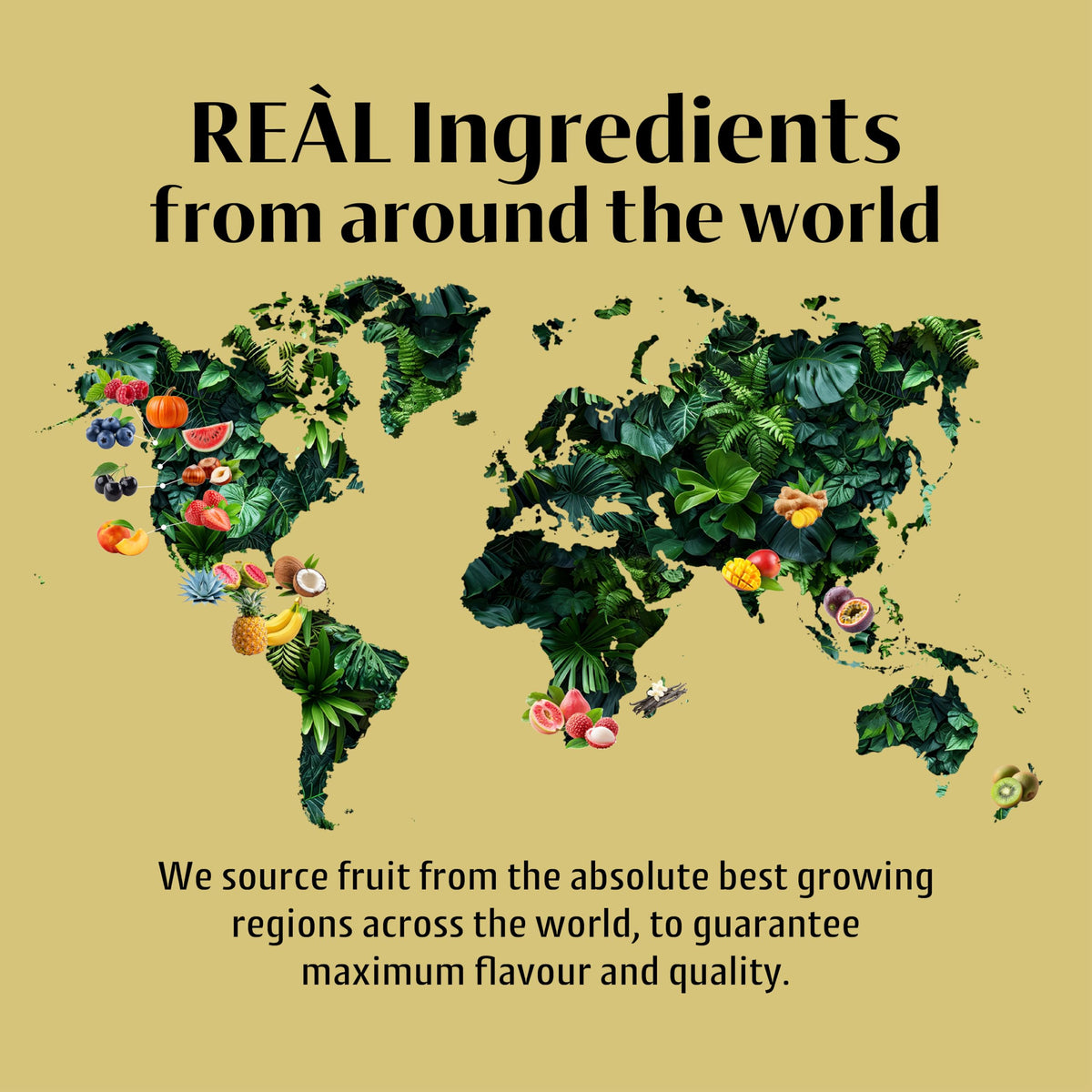 Reàl Madagascar Vanilla Infused Syrup - Gluten Free, Vegan | 500ml 6
