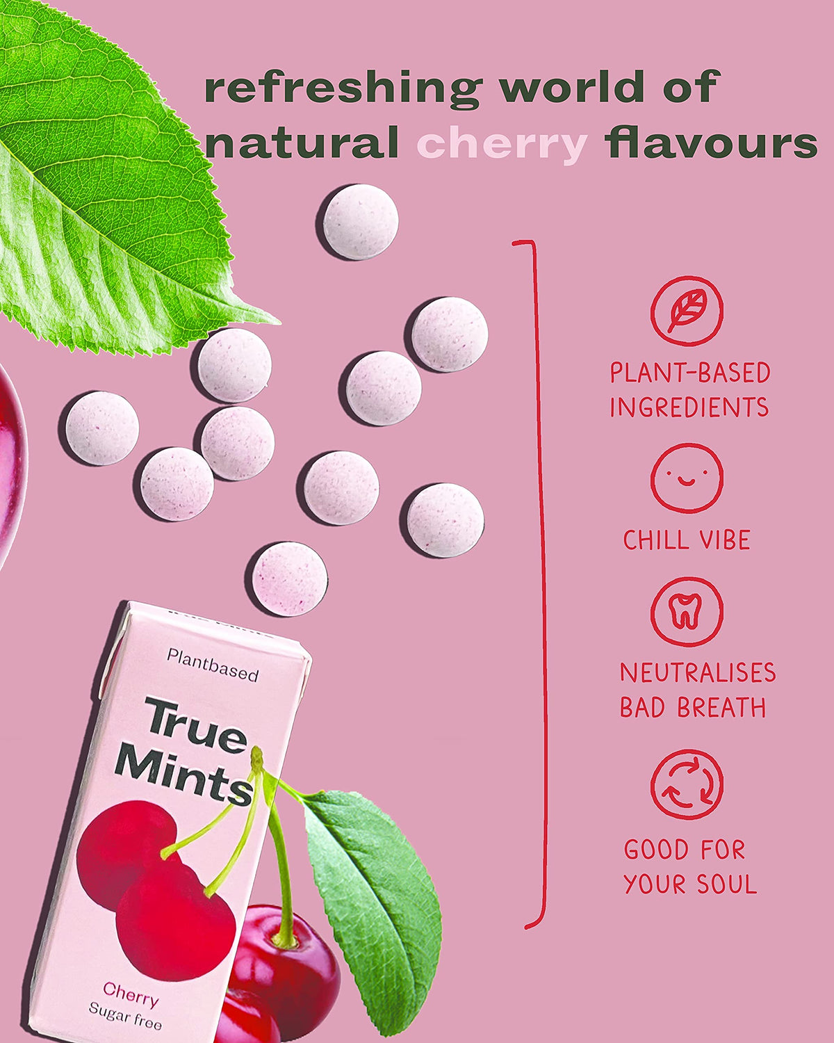 True Gum Mixed Flavours Mints - Sugar Free, Xylitol, Vegan | 12-Pack 2