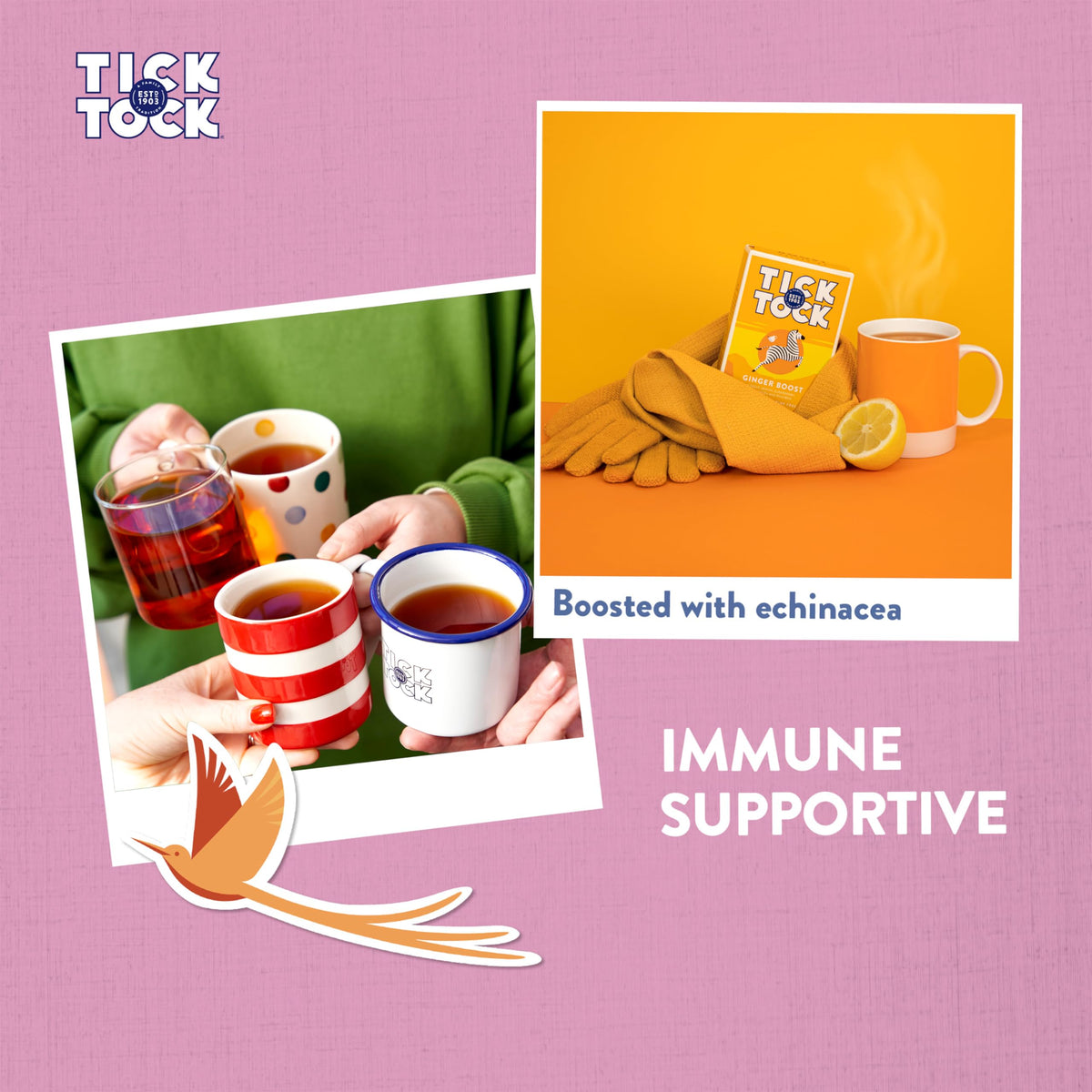 Tick Tock Ginger Boost Herbal Tea - Caffeine-Free, Immune Support, Invigorating 4