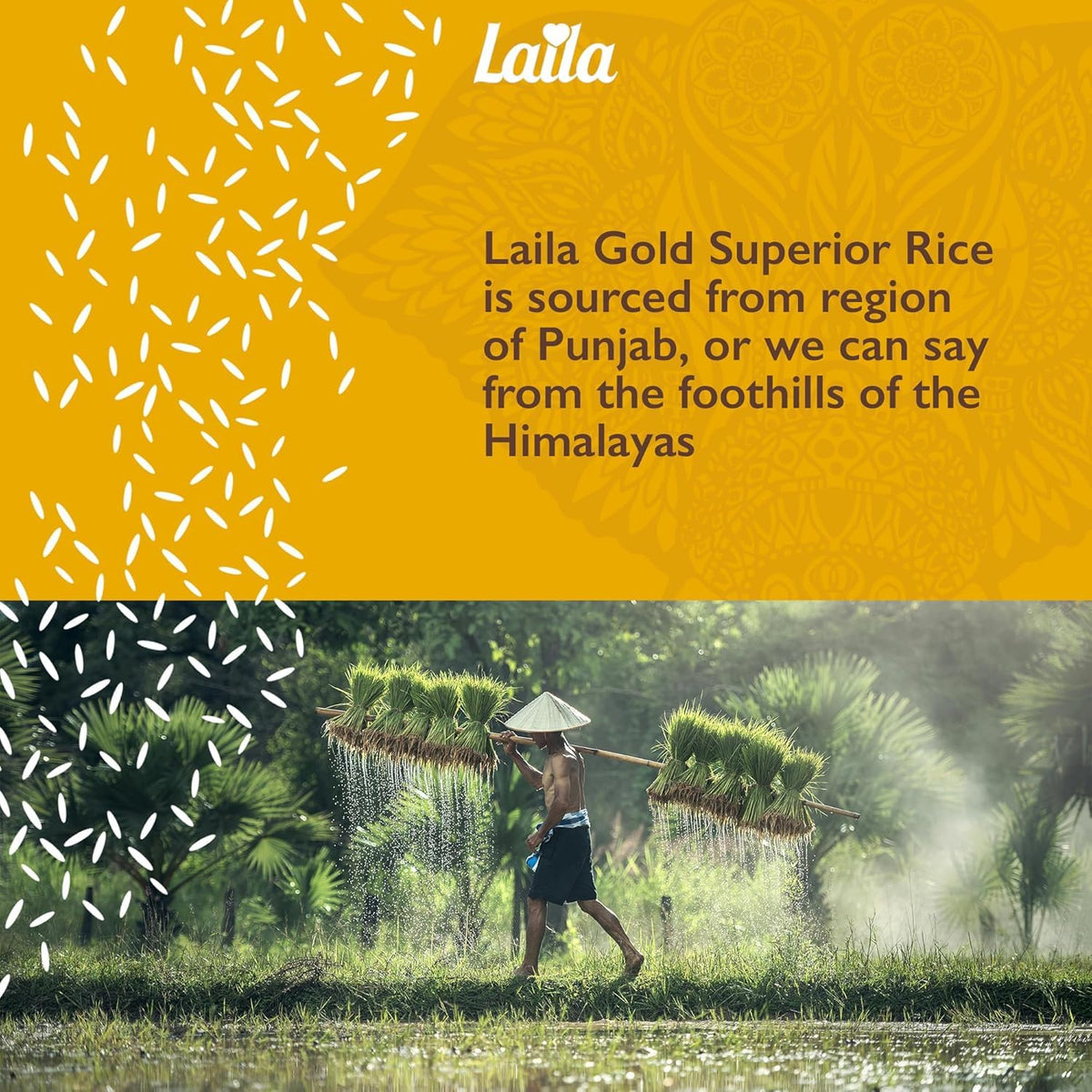 LAILA Gold Basmati Rice - Extra Long Grain, 1kg 5