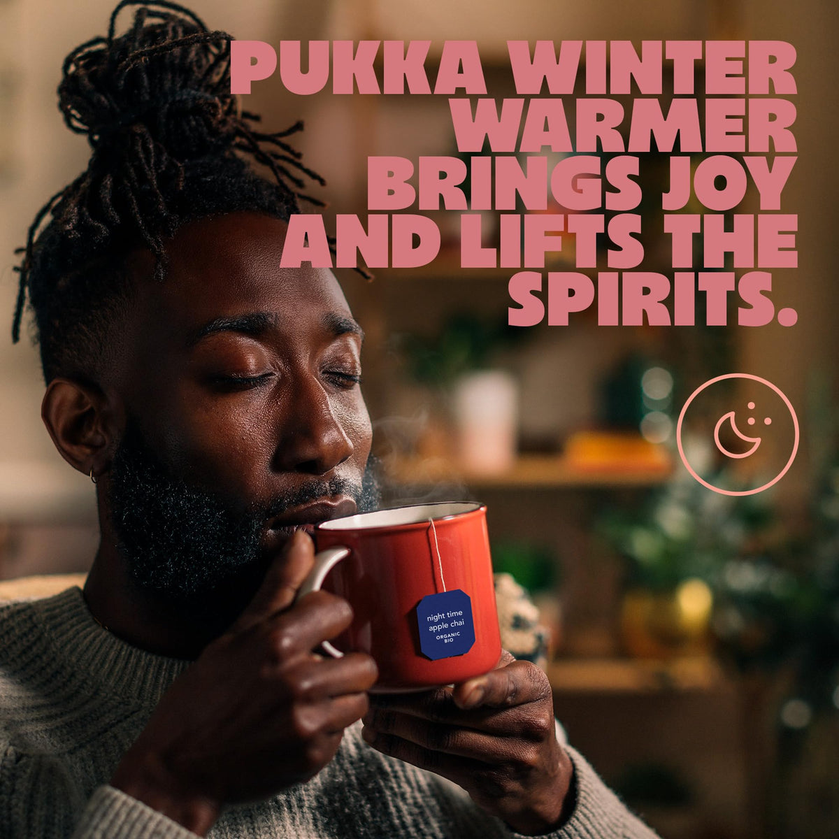 Pukka Herbs Winter Warmer Organic Herbal Tea - 80 Count (4 x 20 Tea Bags)