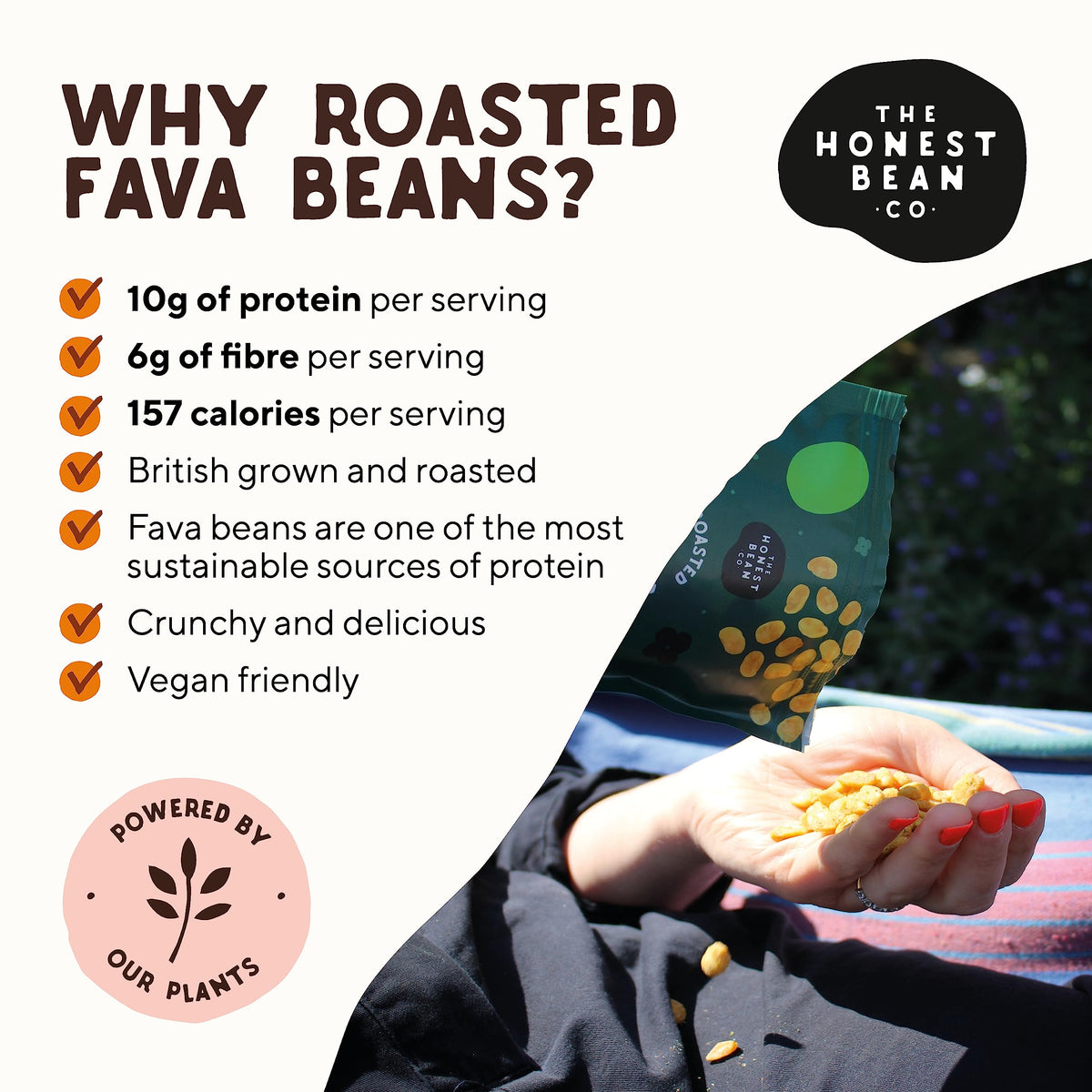 The Honest Bean Co Roasted Fava Bean Variety Pack - 6 Flavors, High Protein, Vegan Friendly | 720g 4