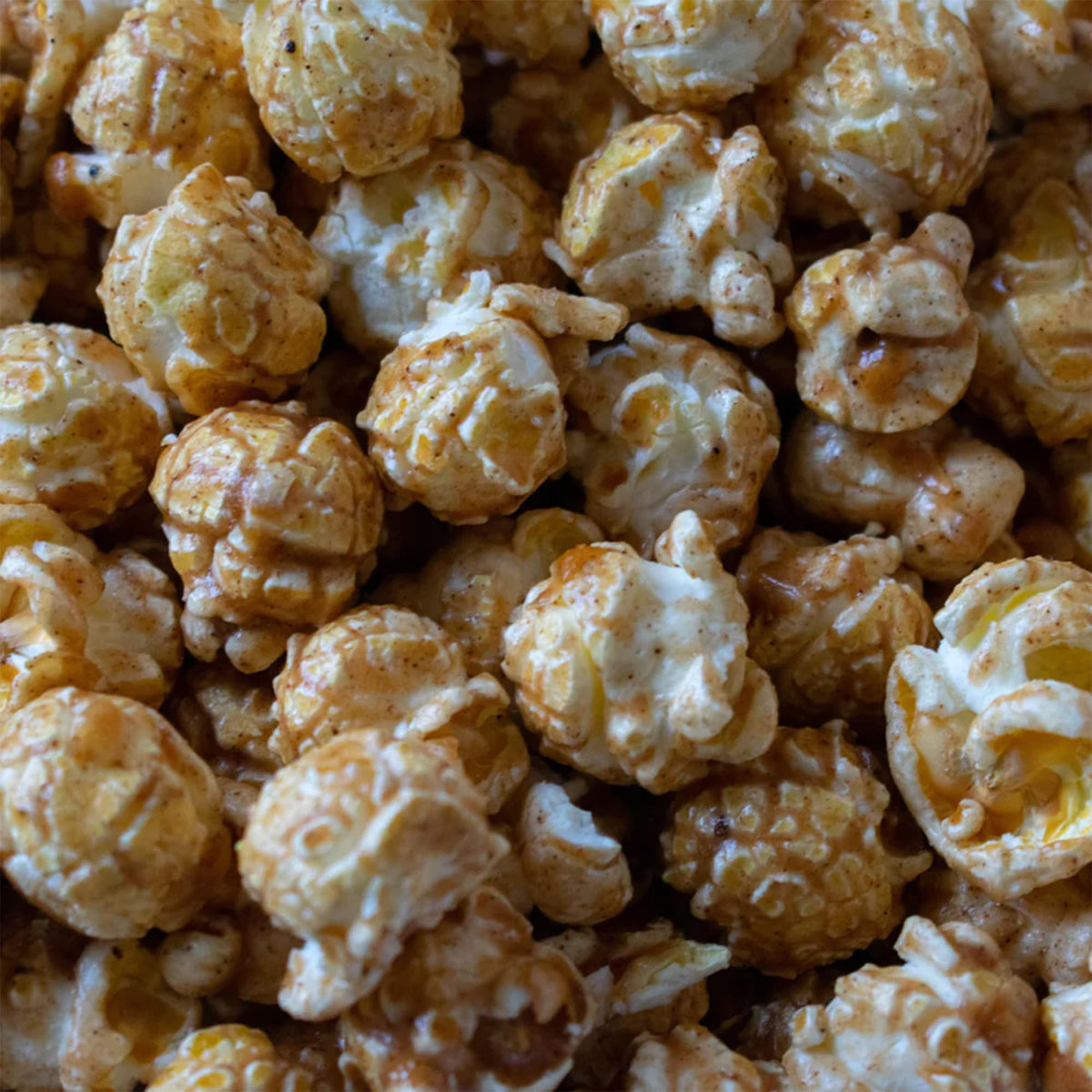 Popcorn Shed Christmas Pudding Gourmet Popcorn - Spiced Caramel Flavour | 16 x 24g Packs 3