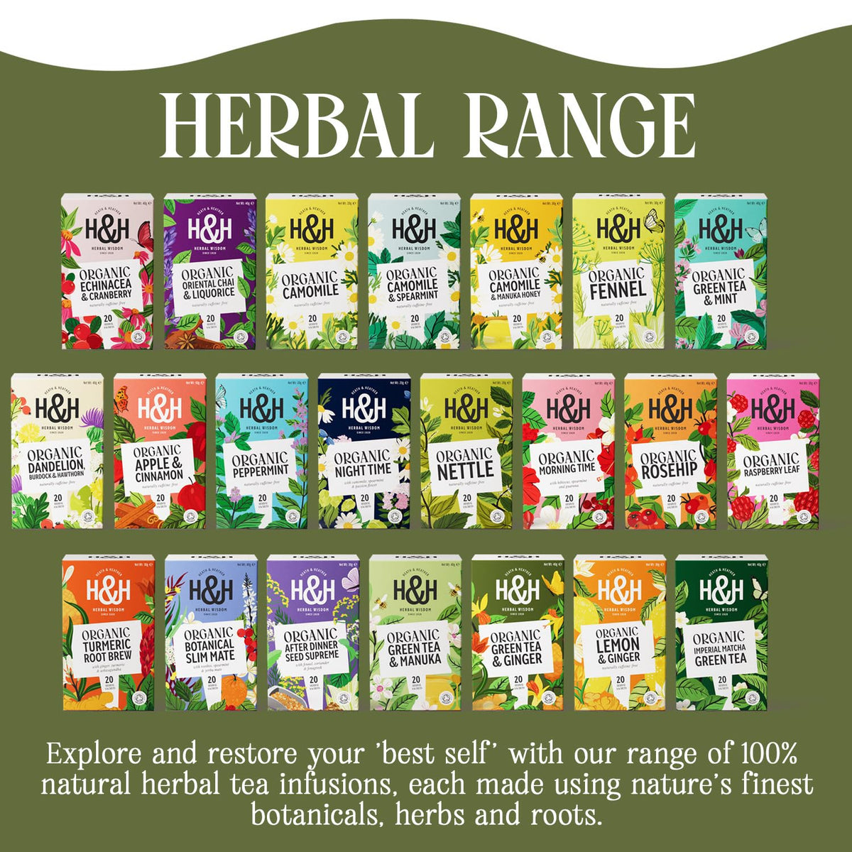 Heath & Heather Organic Green Tea with Ginger - Immunity Support | 20 Count Teabags | Gluten Free 6