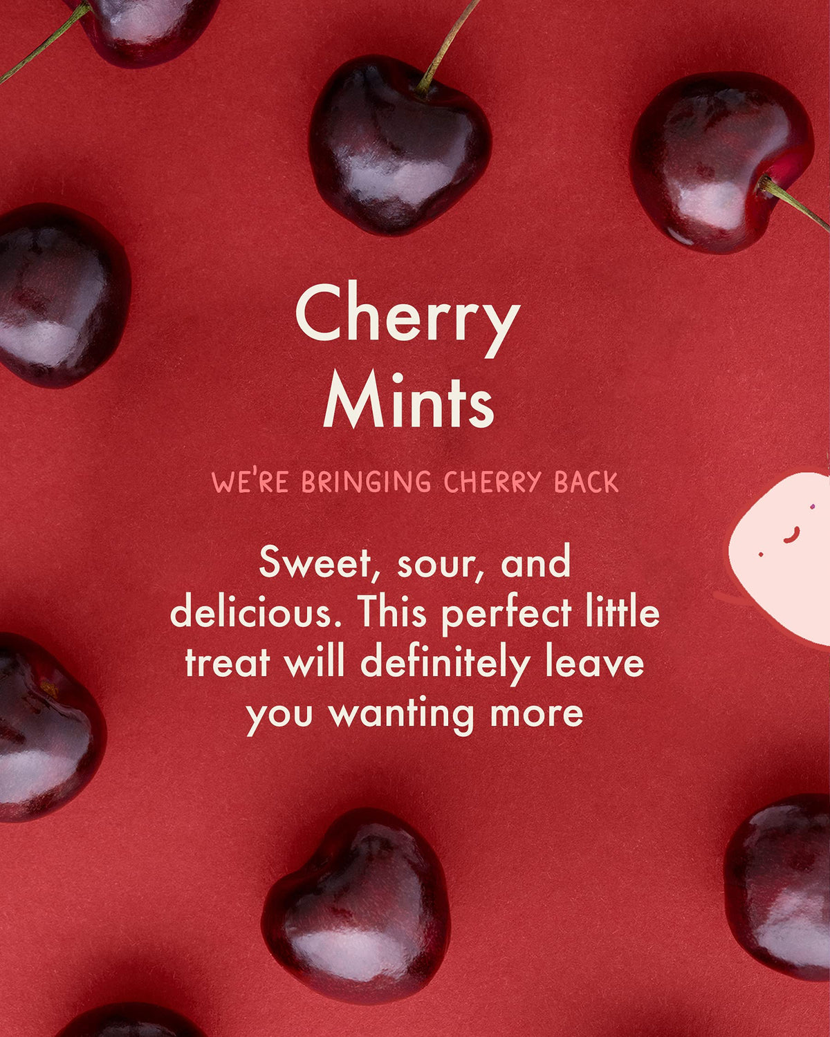 True Gum Cherry Flavour Mints - Sugar Free, Xylitol Sweetened, Vegan - 12 Pack 3