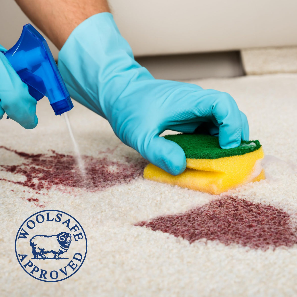 1001 Carpet Stain Remover Spray - Tough on Stains, Gentle on Carpets | 500ml 4