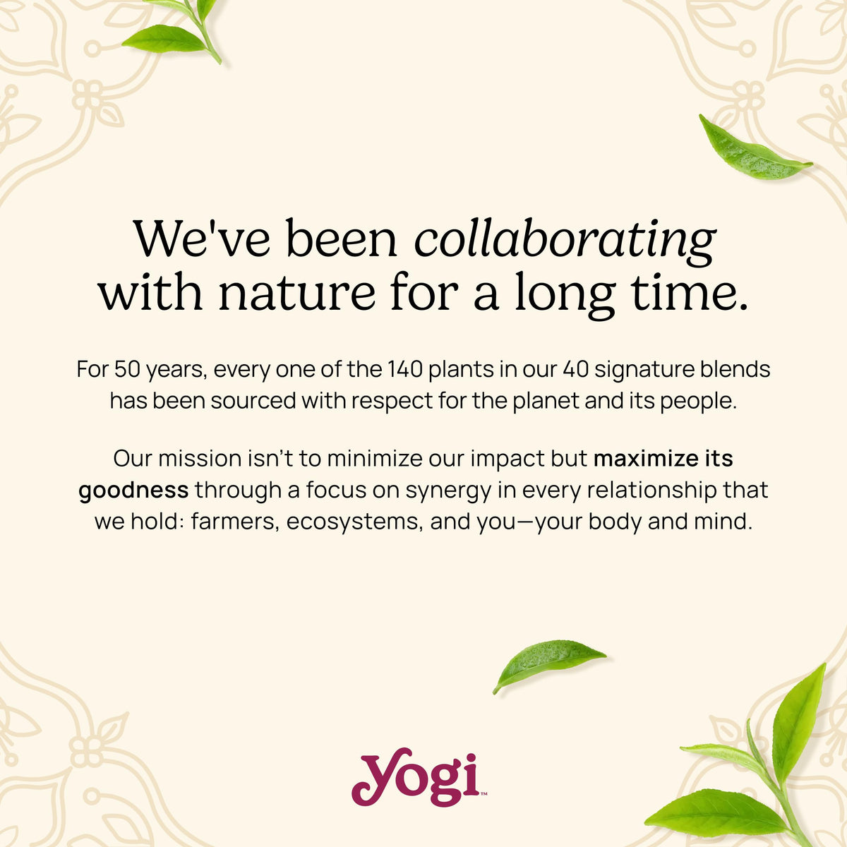 Yogi Black Chai Organic Herbal Tea - Supports Digestion | 6 Boxes, 102 Tea Bags 7