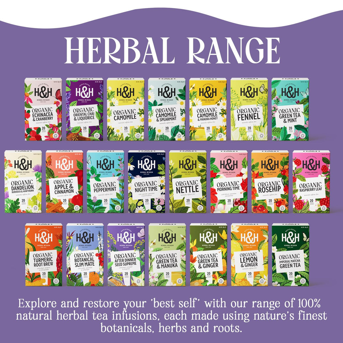 Heath & Heather Organic After Dinner Seed Supreme Herbal Tea - Supports Digestion | 120 Teabags | Caffeine-Free 6