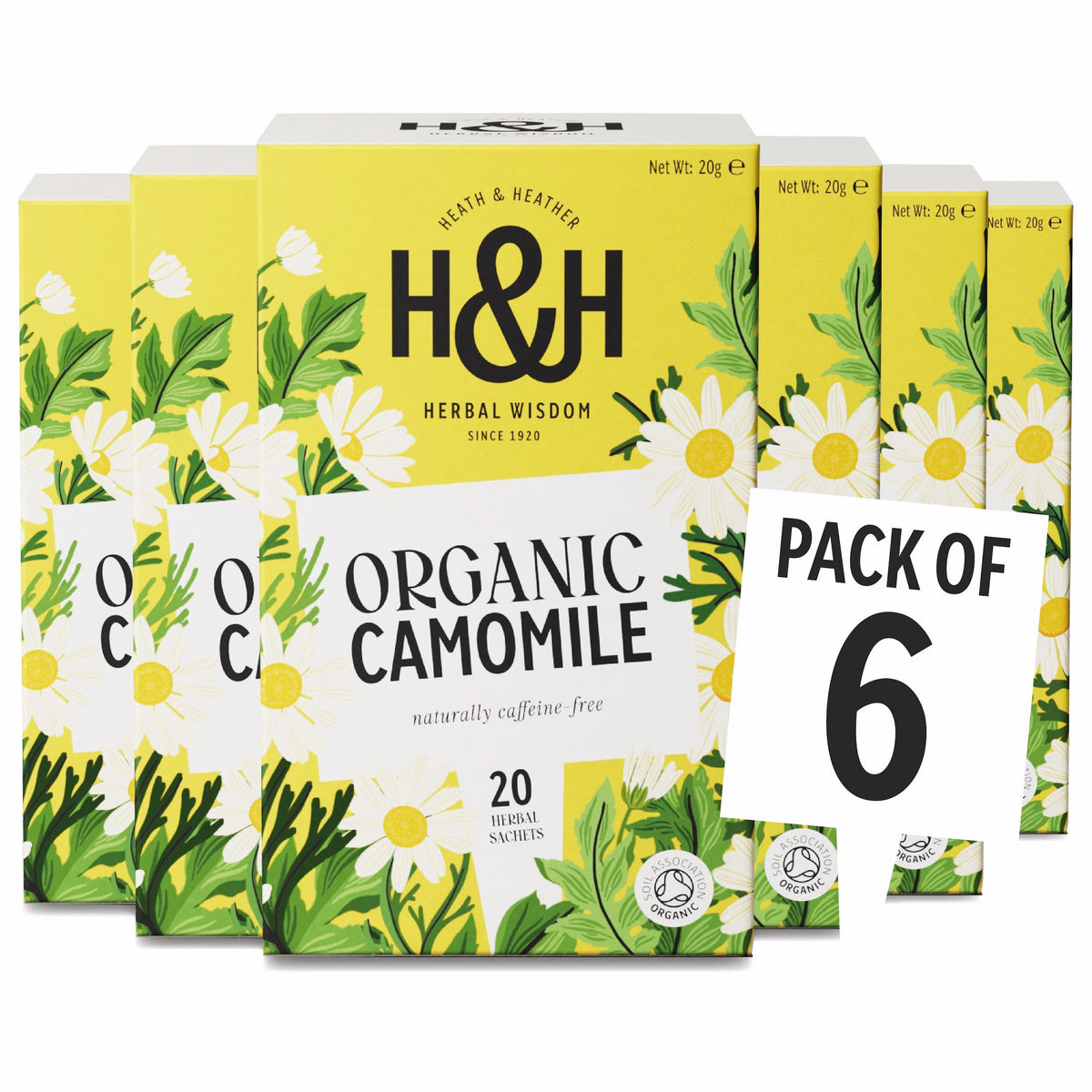 Heath & Heather Organic Camomile Tea - Calming & Digestive Support | 20 Count (Pack of 6) | Herbal Tea