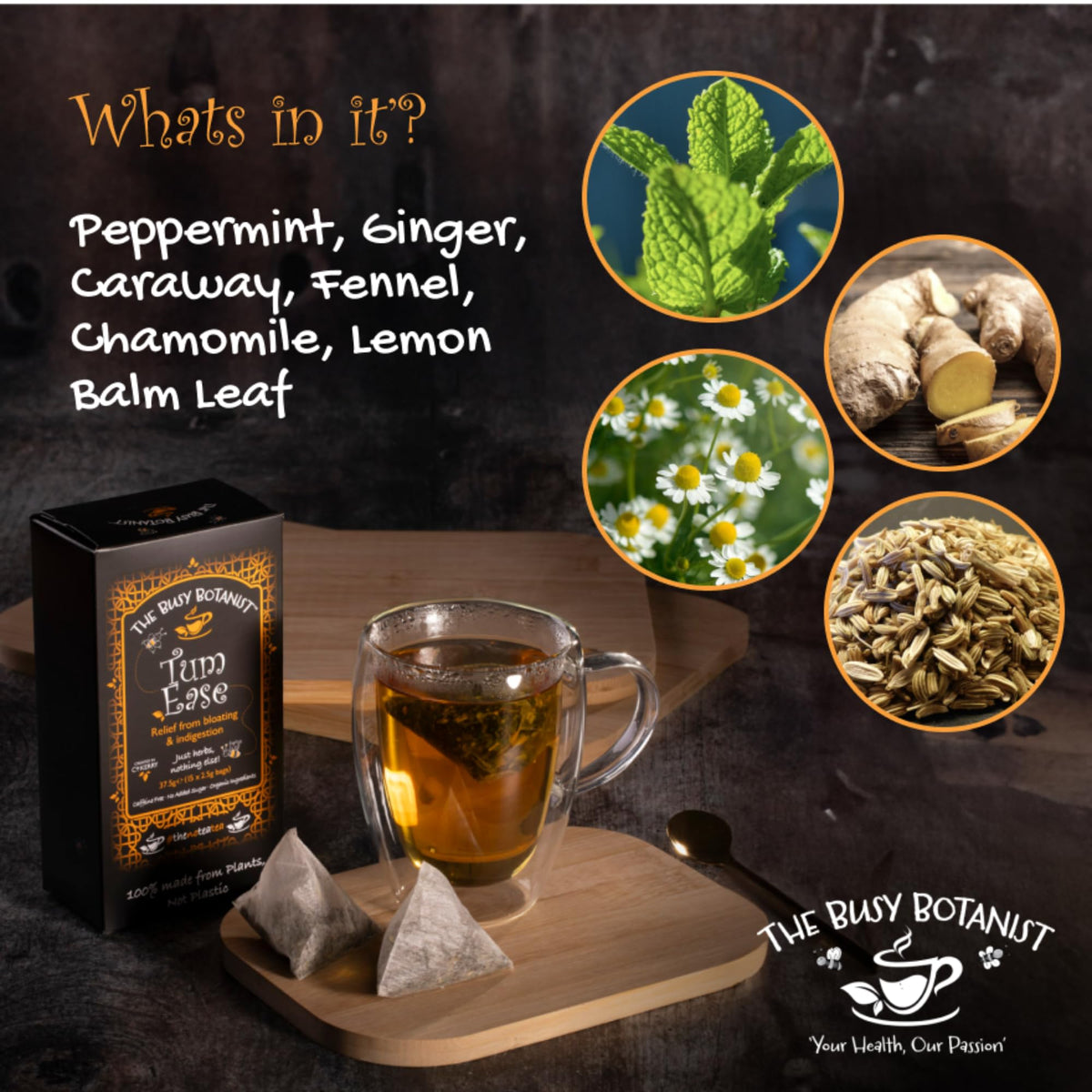 The Busy Botanist Tum Ease Herbal Tea - Peppermint, Ginger & Chamomile | Caffeine-Free | 15 Count (Pack of 2) 2
