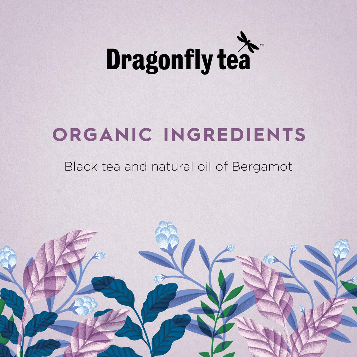 Dragonfly Classic Earl Grey Tea - Organic, Bergamot Oil, 80 Teabags