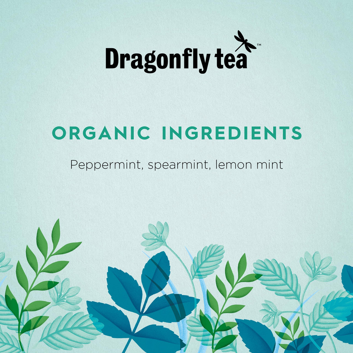 Dragonfly Three Mint Medley Organic Herbal Tea Bags - 4 x 20 Count, Caffeine Free, Refreshing 3