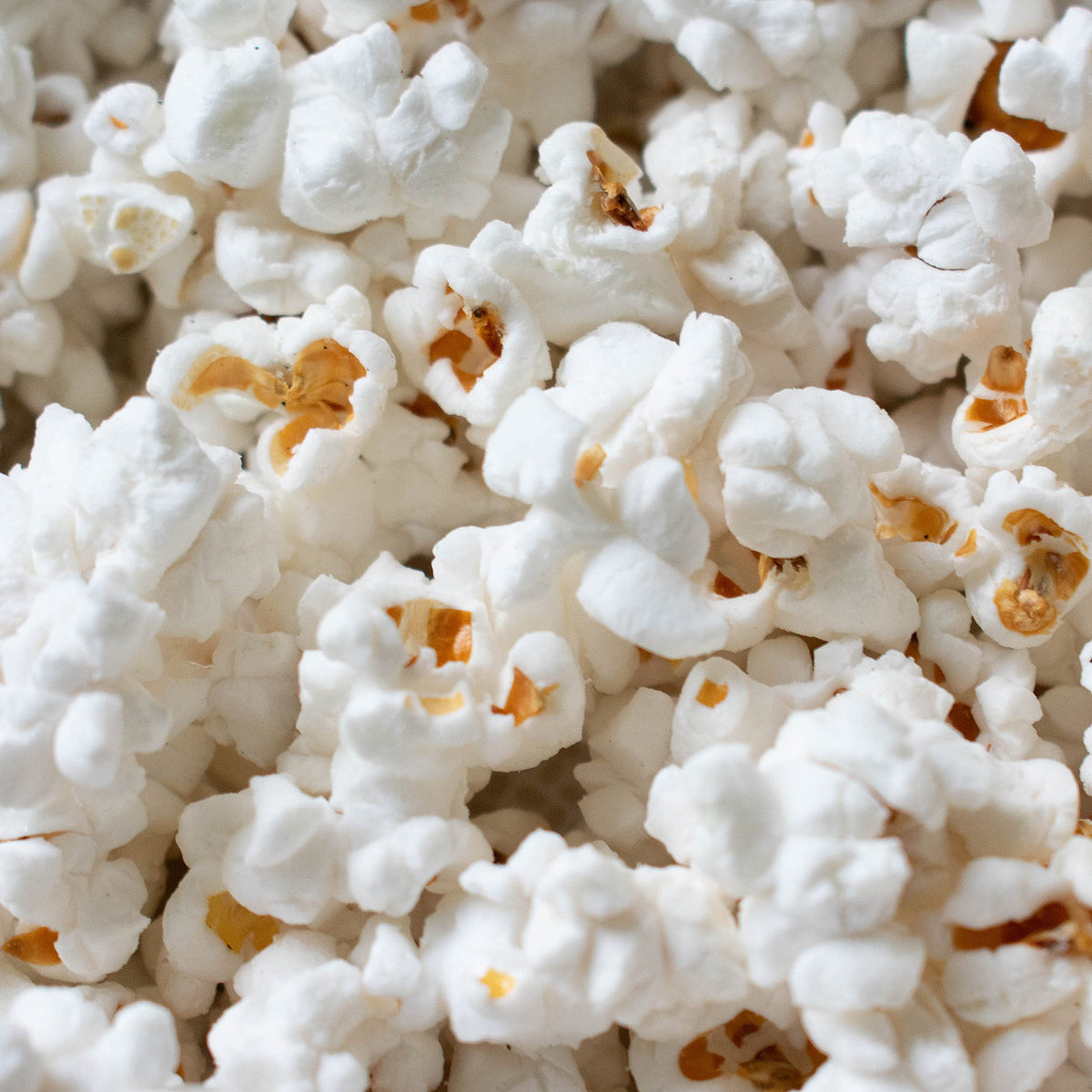 Popcorn Shed Mini Pop! Sea Salt Popcorn - Vegan, Low Calorie, Allergen Free, 20g
