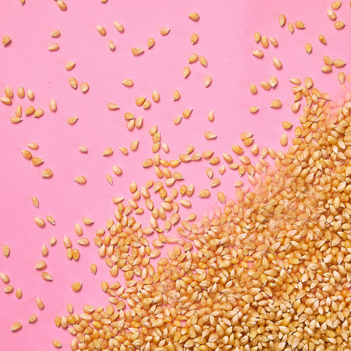 Joe & Seph's Mini Popping Corn Kernels - 400g Bag | Gluten Free, Soy Free, Dairy Free 3