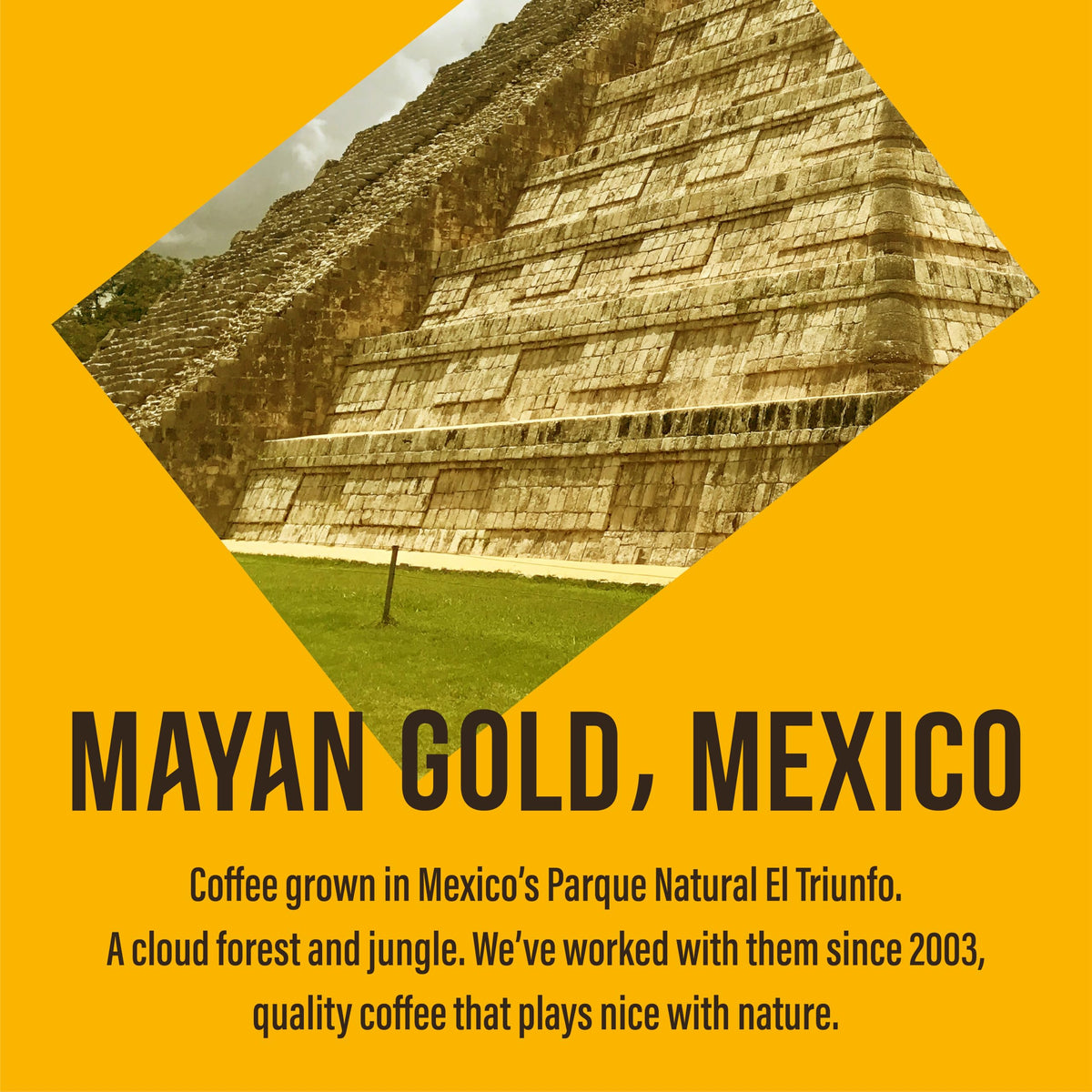 Café Direct Mayan Gold Freeze Dried Instant Coffee - 100% Organic Arabica, Strength 4, Caramel Notes 3