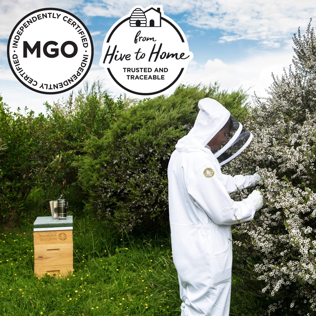Manuka Doctor MGO 30 Manuka Honey - 100% Pure New Zealand Honey | 500g 8