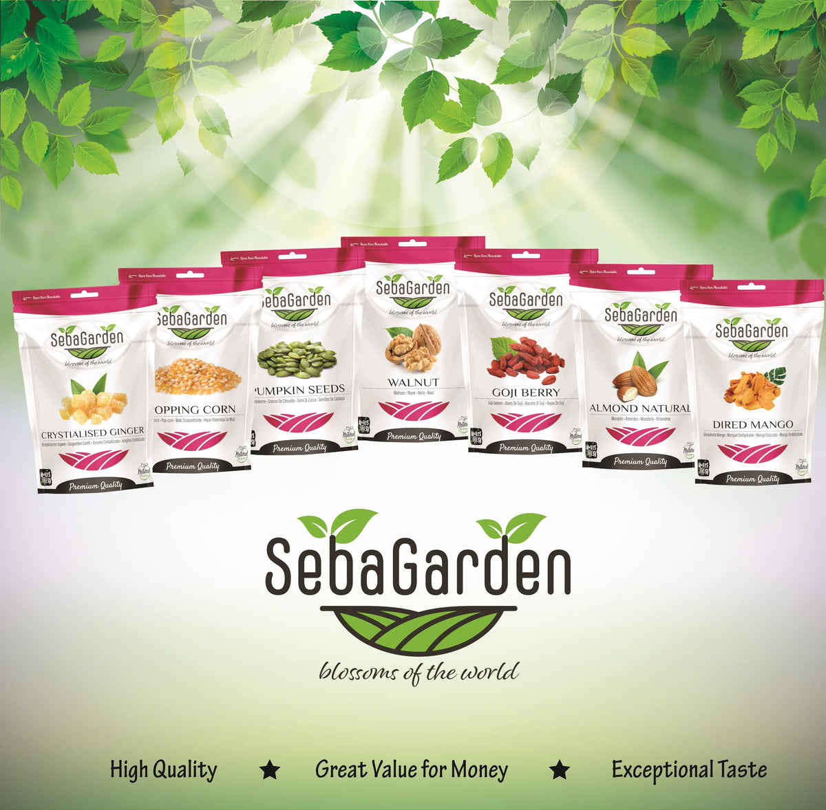 Seba Garden Sweetened Banana Chips - 750g Bulk Pack | Crunchy Snack 4