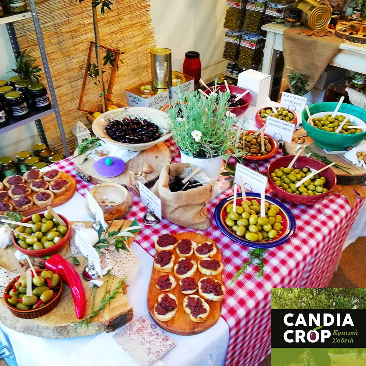 Candia Crop Greek Green Olives with Red Pepper - 1kg (Pack of 5 x 200g)