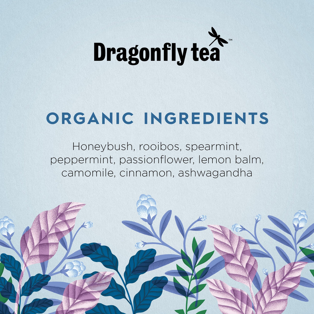 Dragonfly Sleepy Mint and Honeybush - Organic Herbal Tea for Relaxation | 80 Tea Bags 3